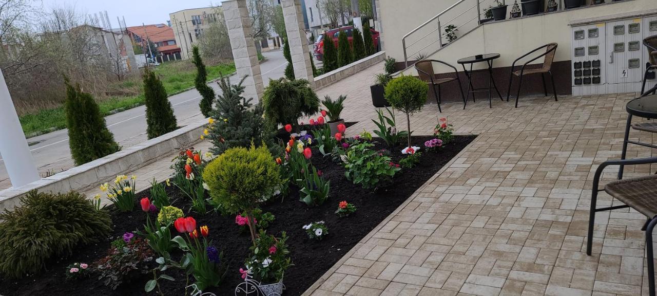 Ferienwohnung Casa Andi Năvodari Exterior foto